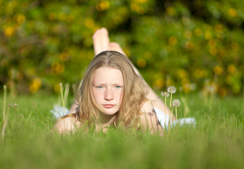 Little Dandelion