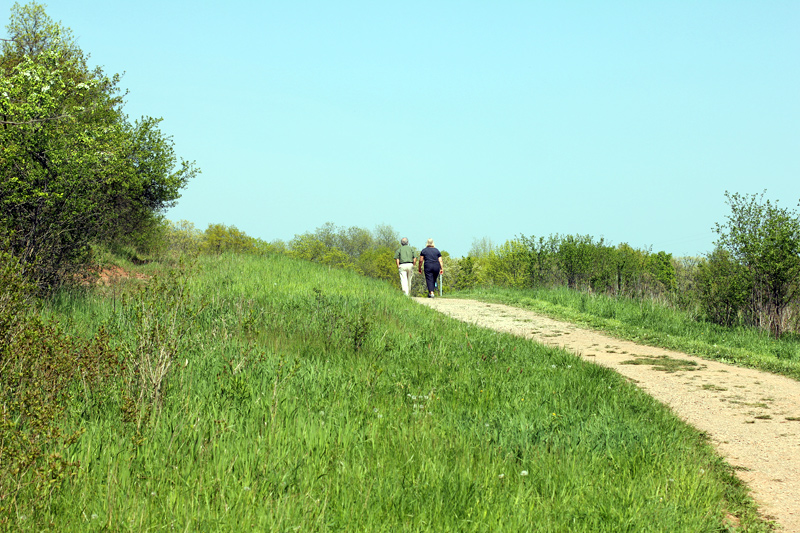 emerald path