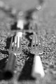 Splitting tines