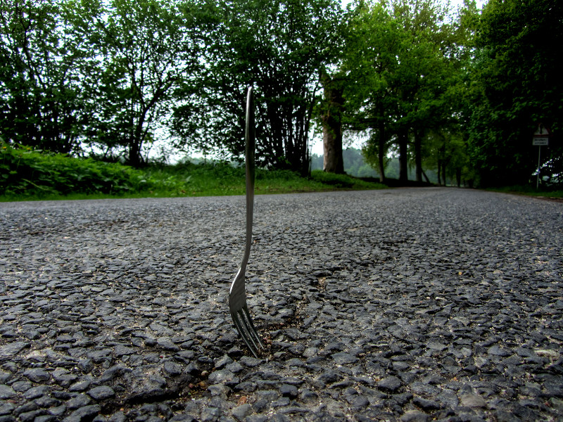 Fork provokes Roadkill