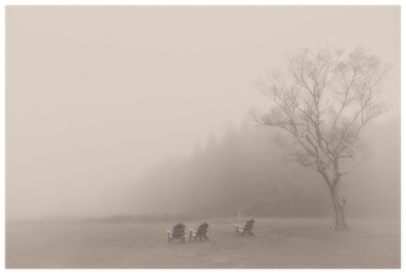 "...the quiet sense of something lost"