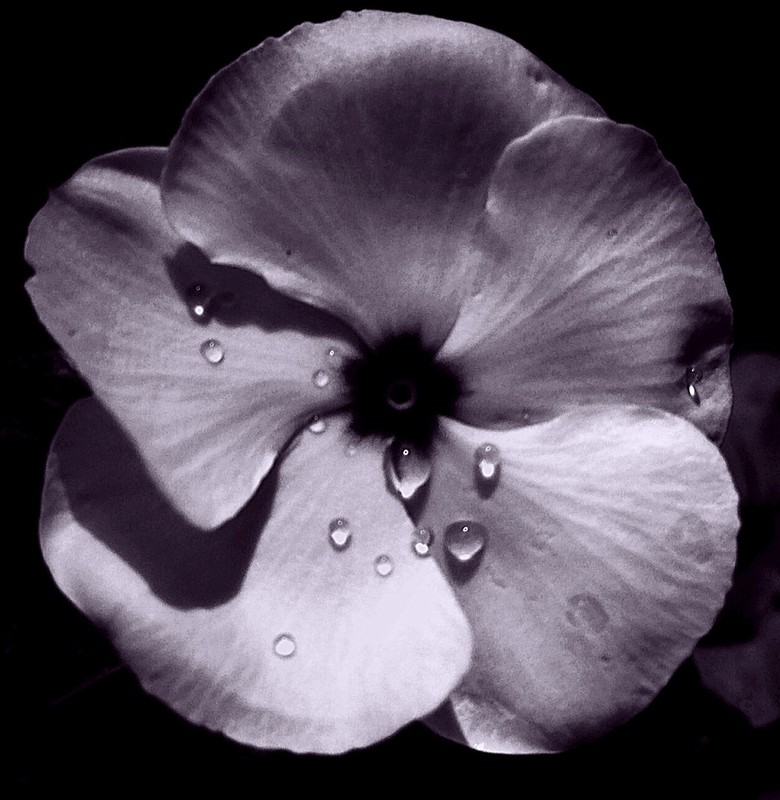 Requiem