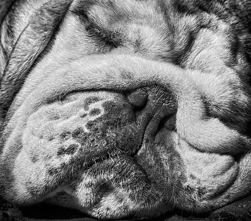 Snooze