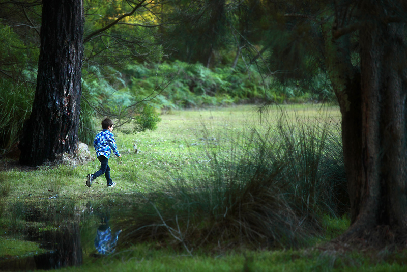 alone and scared in the forest