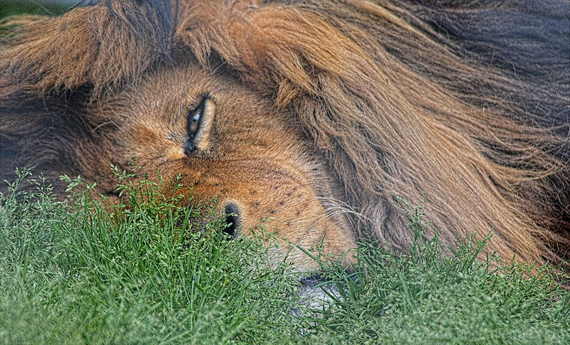 some days, I don't want to get out of bed