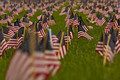 Field Of Flags