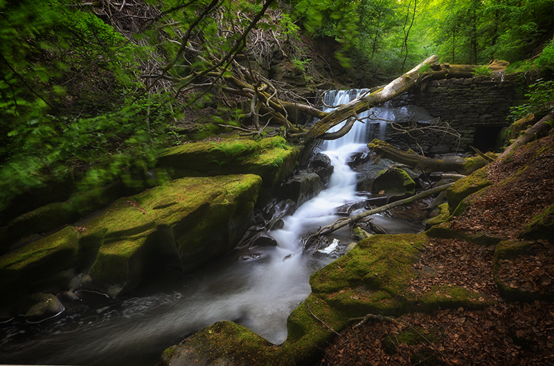 The Green Glen