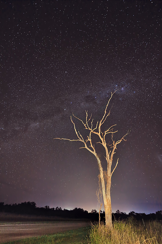 Reach for the stars