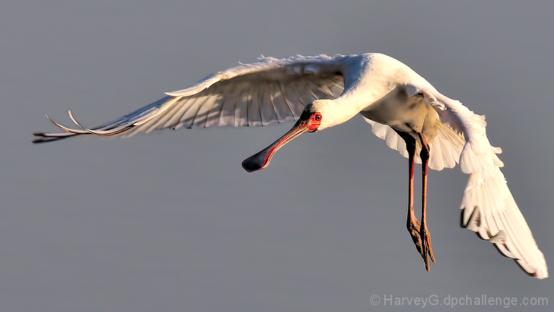 Final Approach