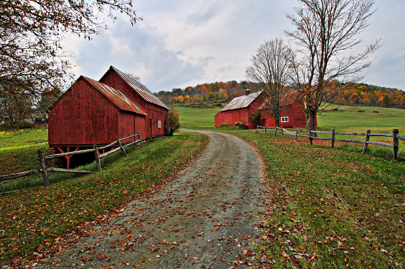 The Red Barns