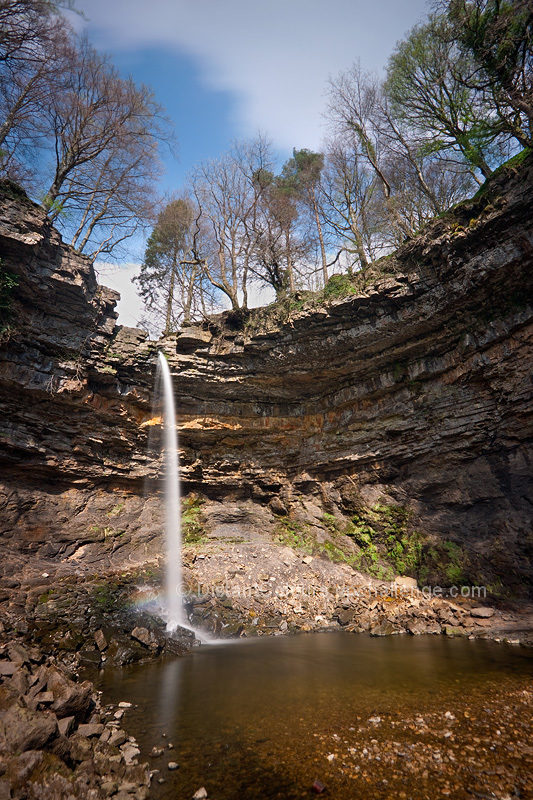 Hardraw Force