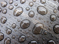 Drip Drop