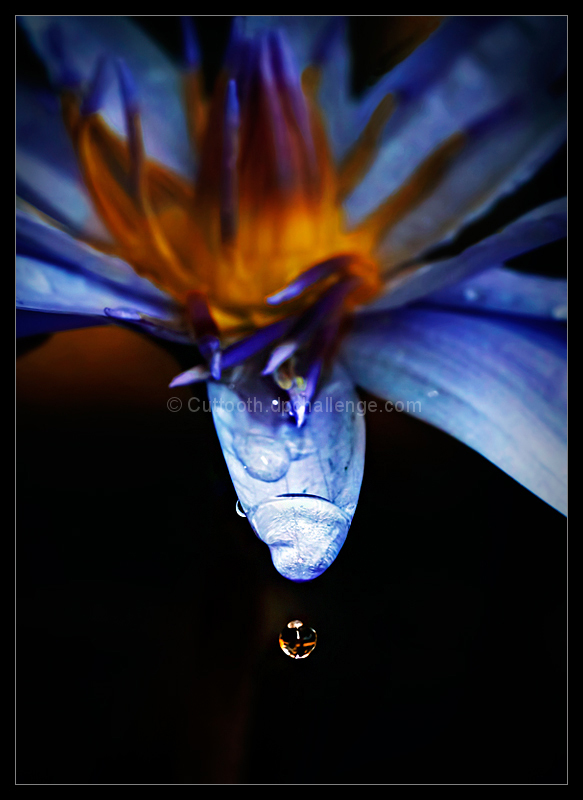 Droplet