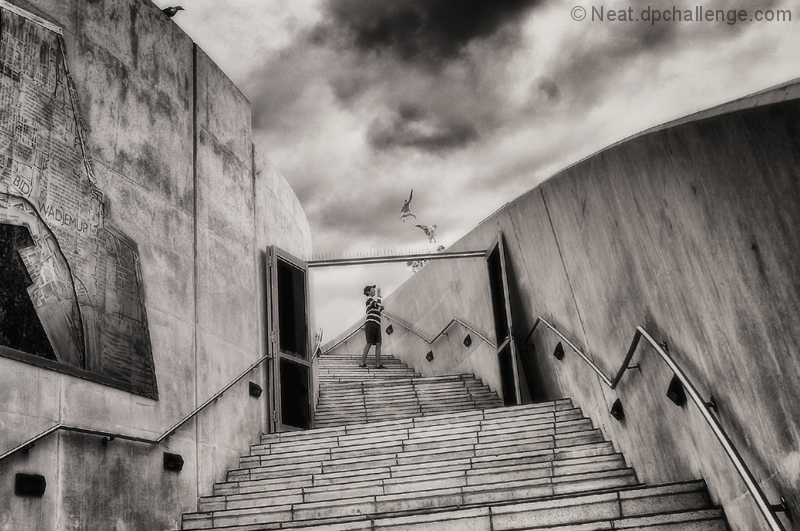  'Where dreams fly'