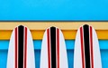 Endless Summer