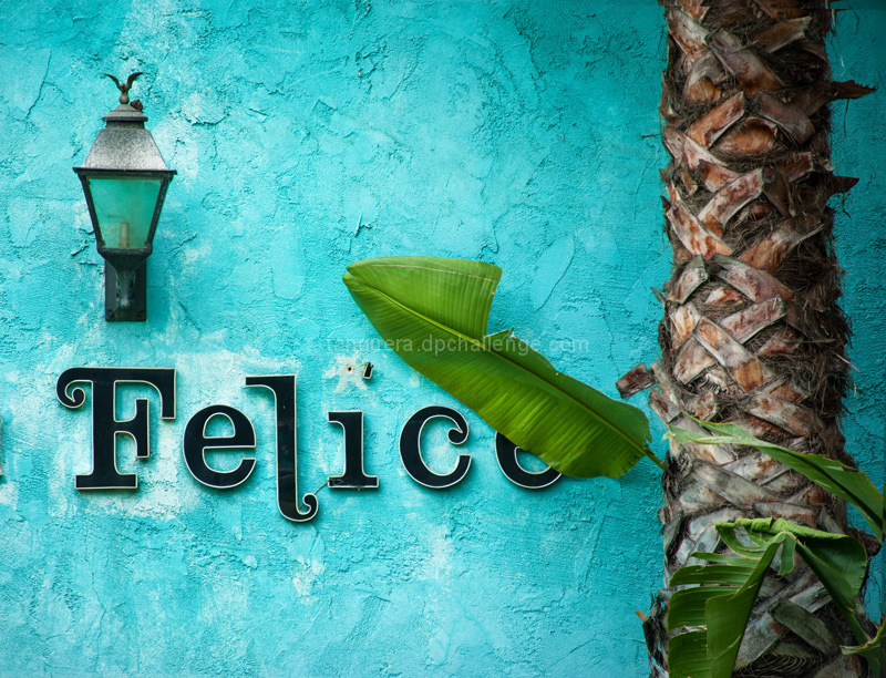 felice