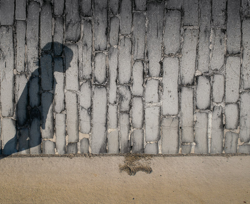 The Unsettled Dust
