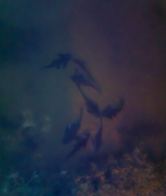 The Deep