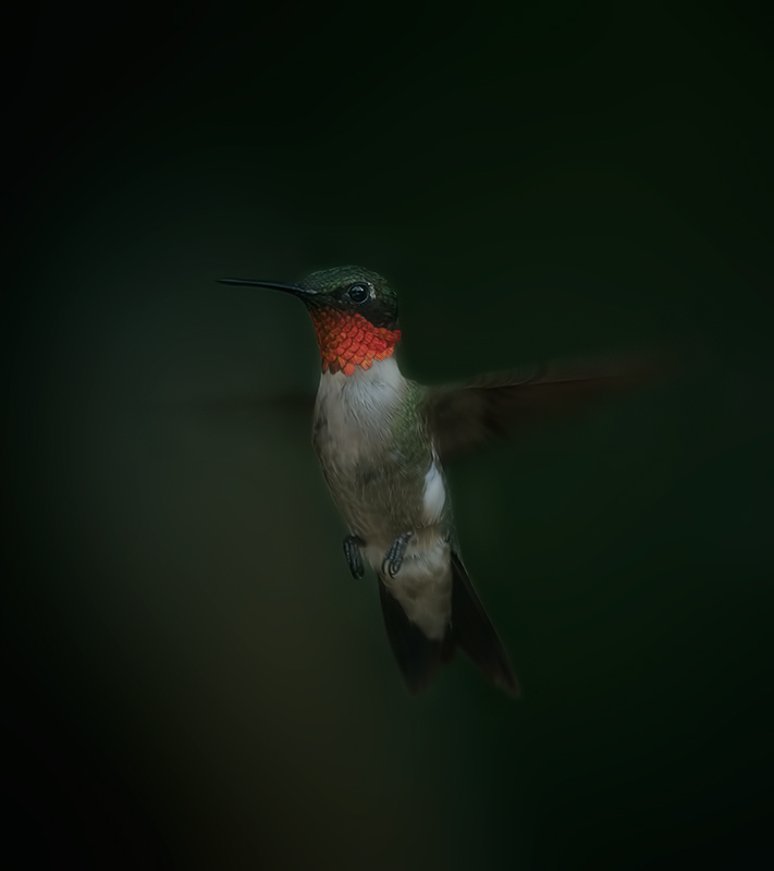 Living Jewel