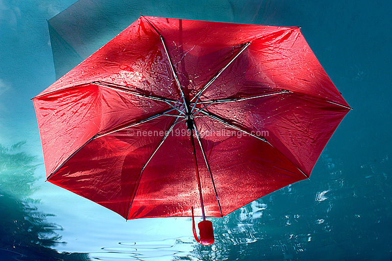 The Red Umbrella