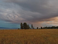 Yellowstone Dreamscape