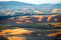 Palouse