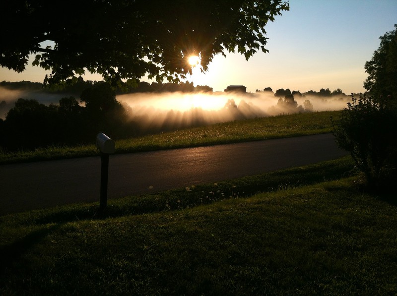 Morning Delight 
