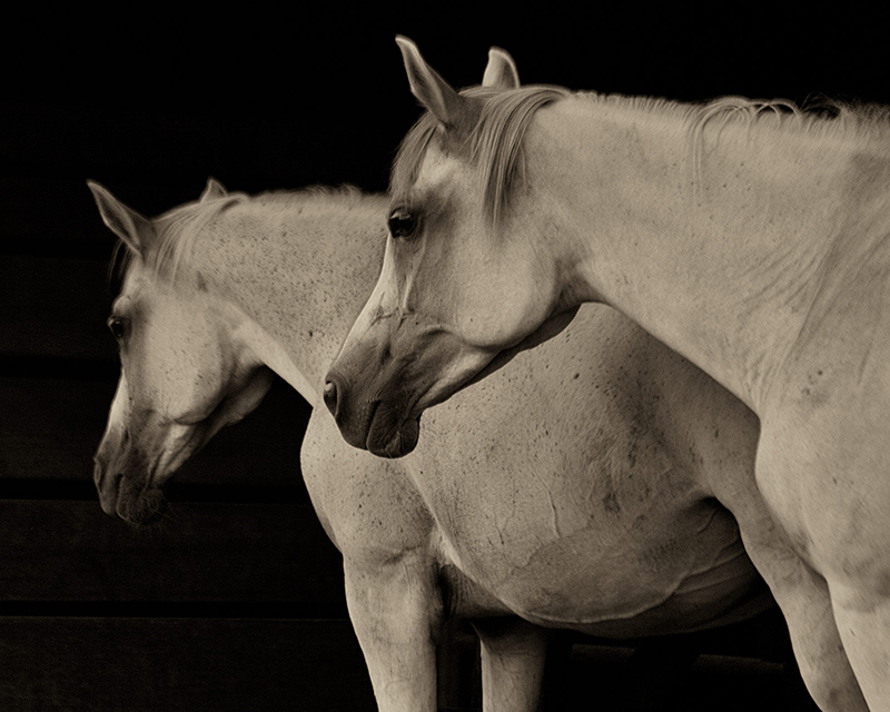 Profiles