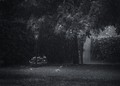 August Rain