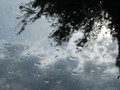 Blame it on the Rain!
