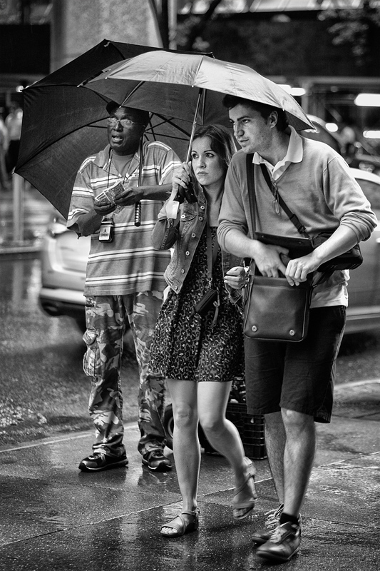 braving the storm
