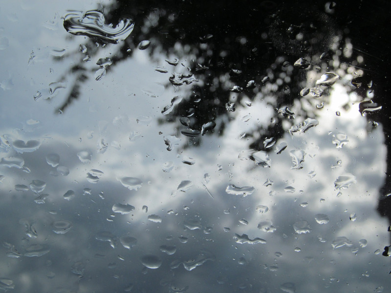 Blame it on the Rain!