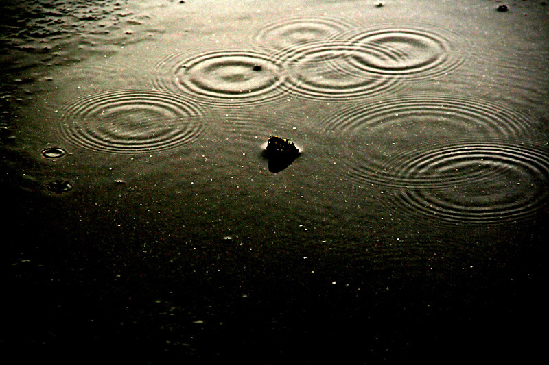 a rock in a pond