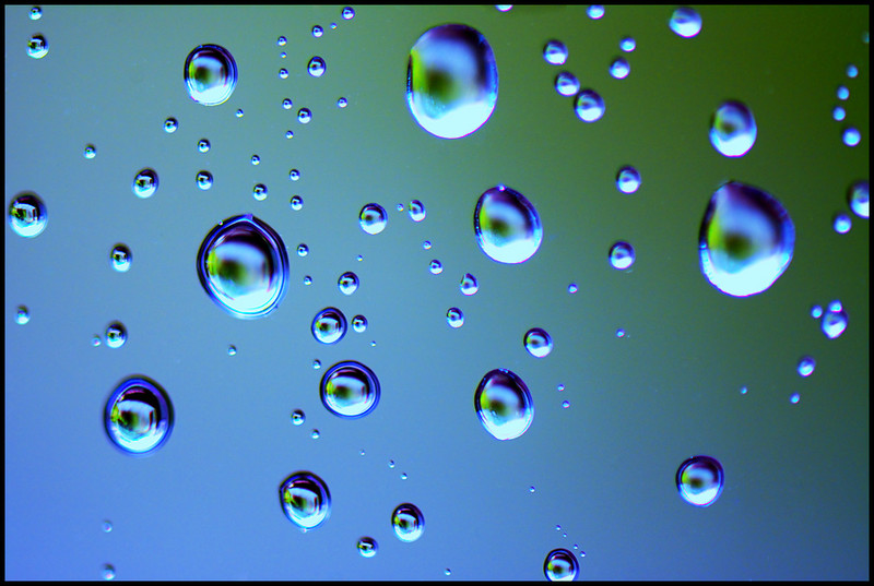Storm Window