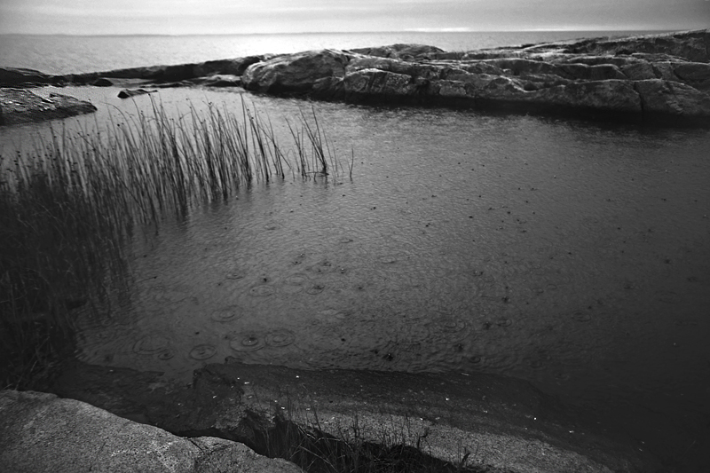 rain on tidal pool, daybreak