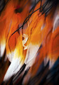 Leaves on fire