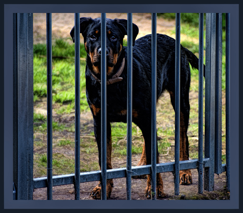 Confined