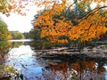 Scituate river