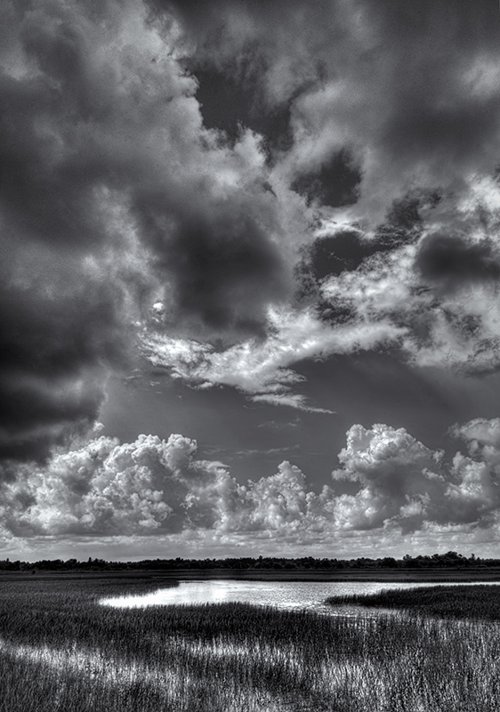 Wetland