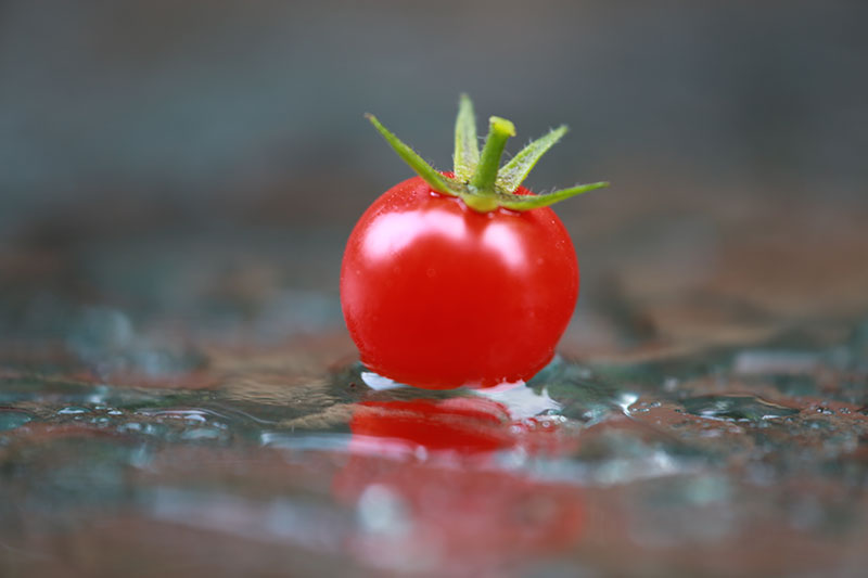Red Tomato