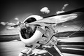 Come fly with me