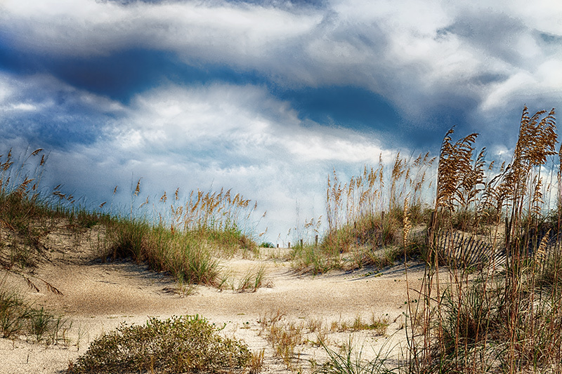 sea oats