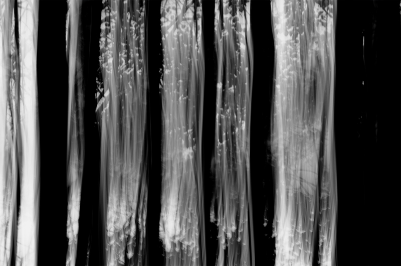 Curtain
