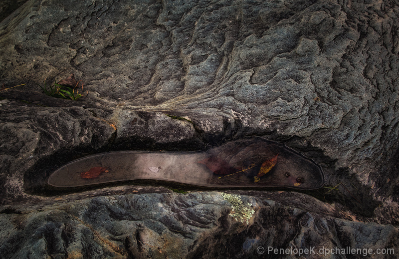 Granite, Puddle and Leaves