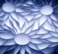 circles, curves, and cusps