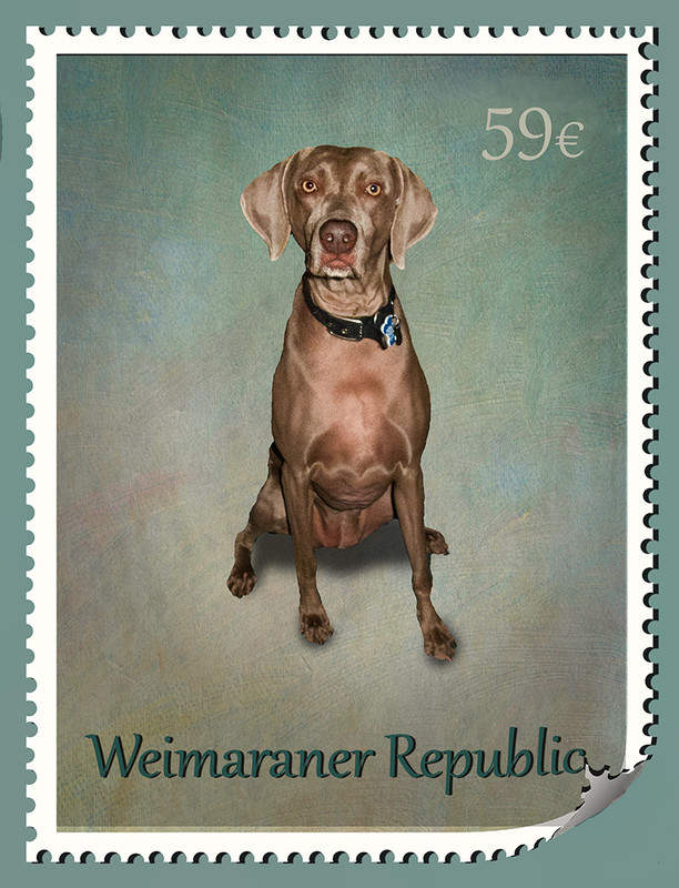 One For the Philatelists Among Us