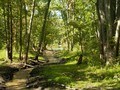 Lameroux Creek