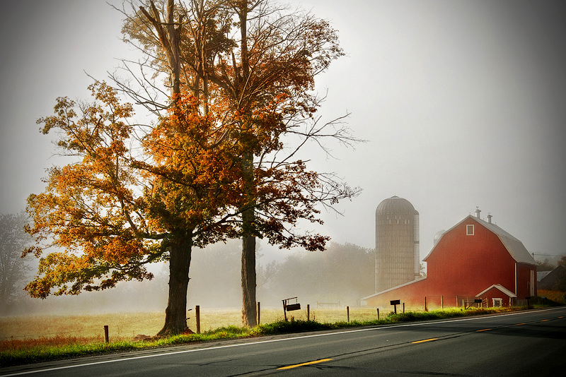 clearing fog