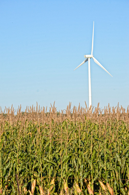 Renewable.