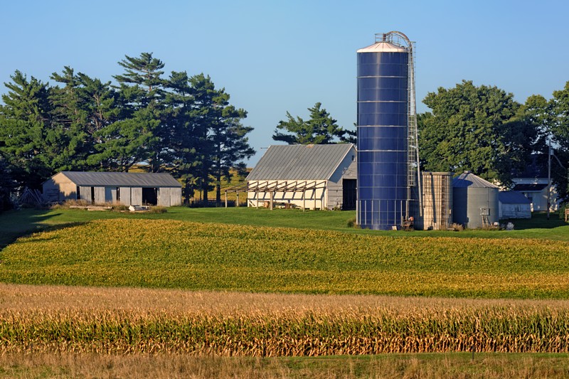 Across the Fields
